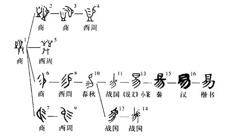 易部首的字|易的部首